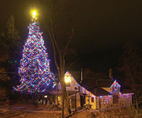 Holiday Fun in Julian
